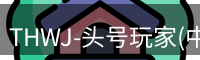 THWJ-头号玩家(中国)唯一官方网站